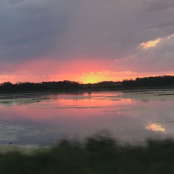 Meet your Posher, Haeden - Picture 1 of 1